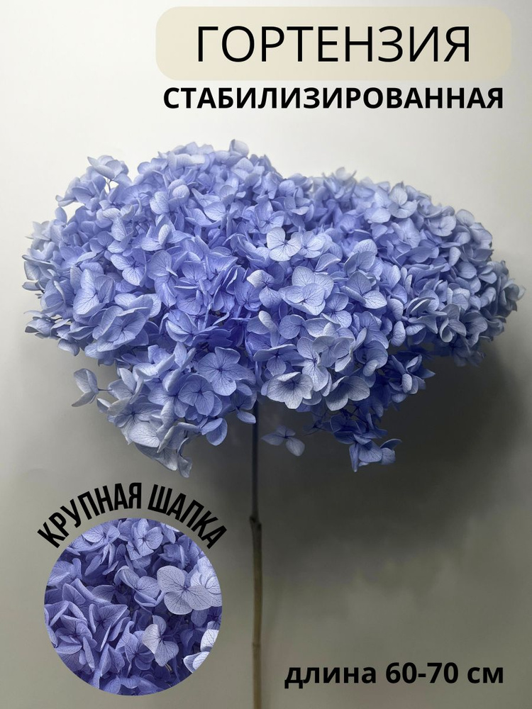 Стабилизированные цветы EVA florist Гортензия, 60 см, 60 гр, 1 шт ...