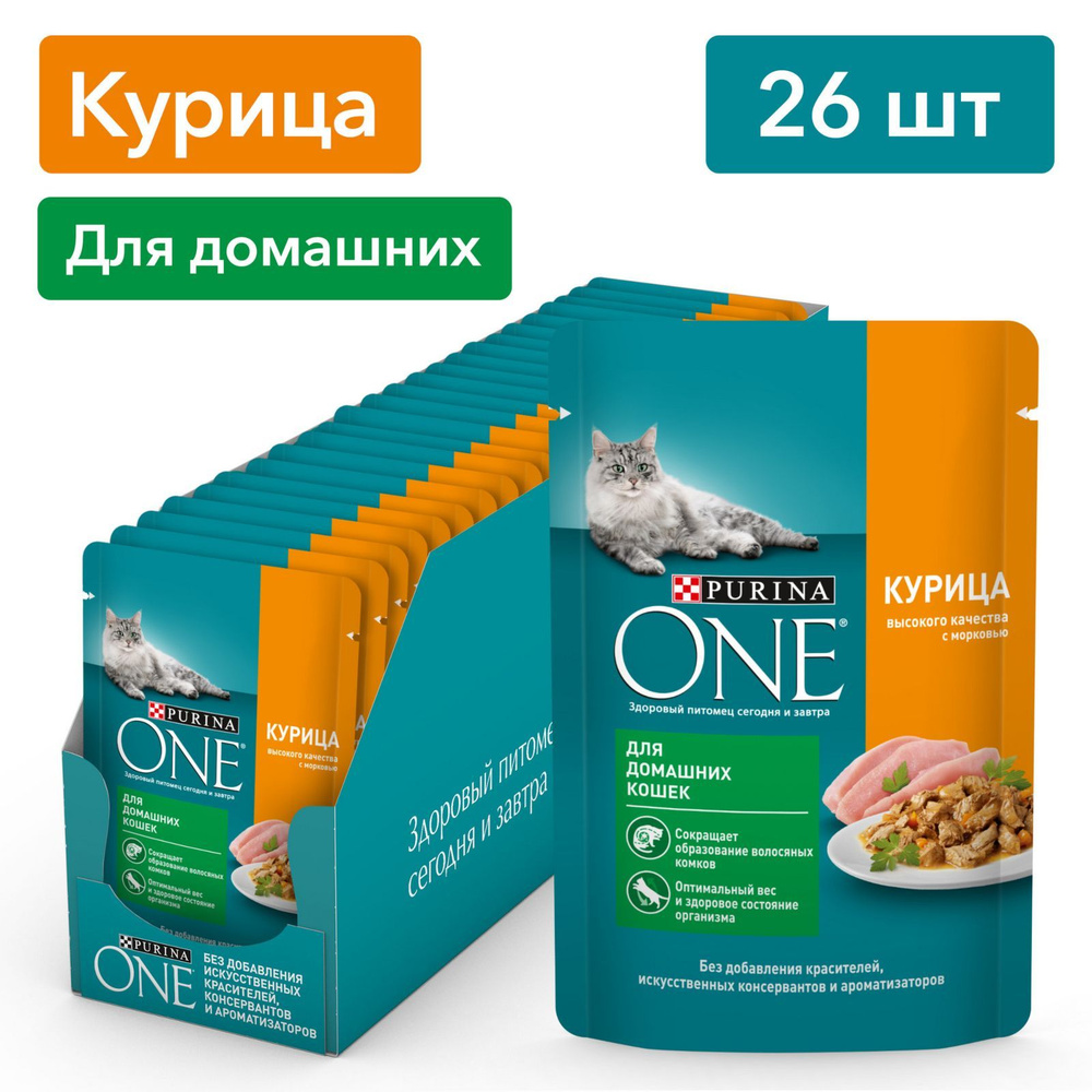 Влажный корм для кошек Purina ONE при домашнем образе жизни, в соусе с  курицей и морковью, 75 г х 26 шт - купить с доставкой по выгодным ценам в  интернет-магазине OZON (169587856)