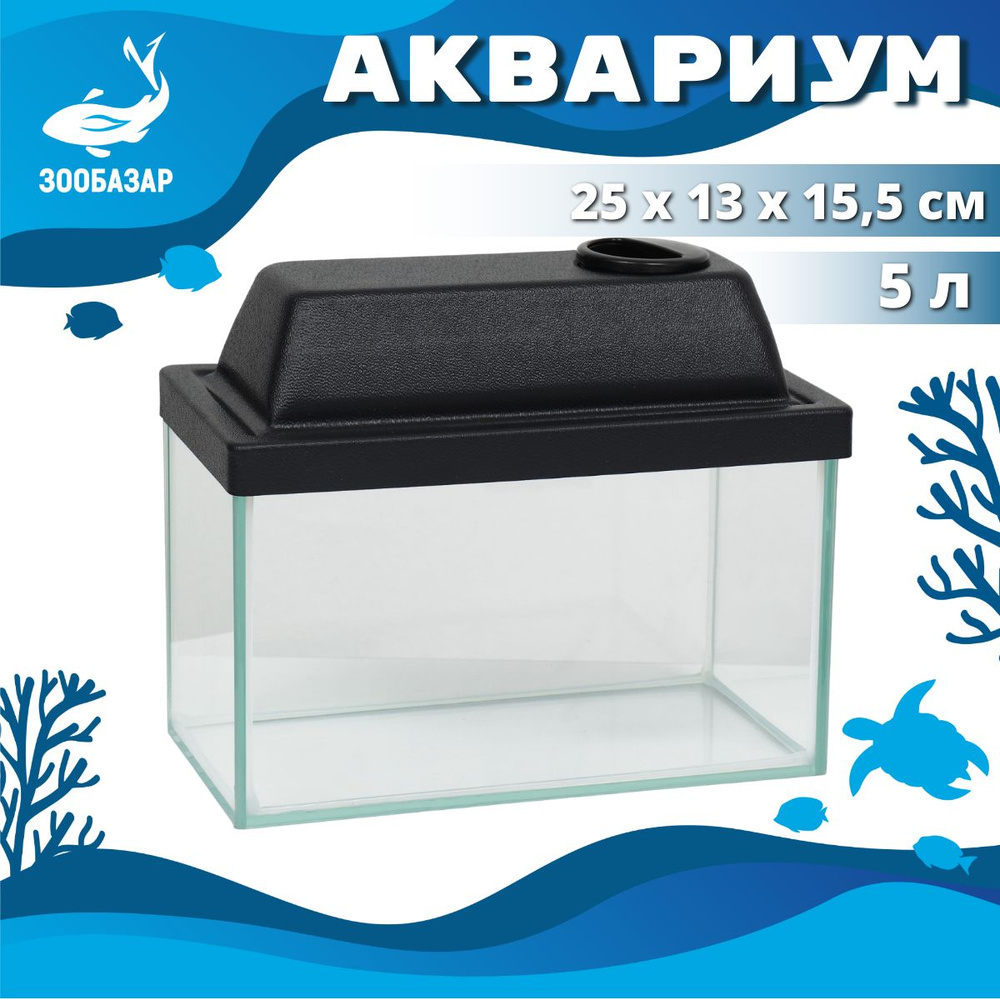 Аквариум для рыбок с крышкой, 5 л 25x13x15,5/18 см - купить с доставкой ...
