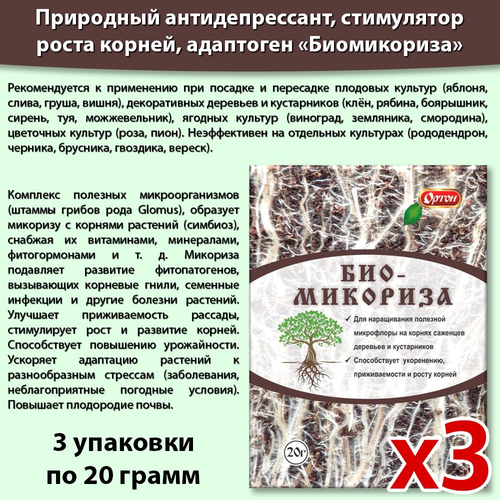 Биомикориза стимулятор роста корней 20гр * 3 ШТУКИ - купить с доставкой ...