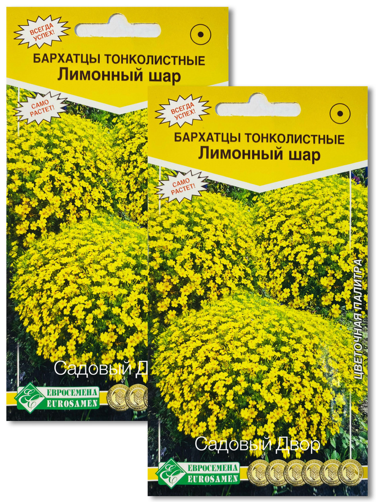 Бархатцы тонколистные ЛИМОННЫЙ ШАР, 2 пакета, семена 0,05 гр, Евросемена  #1