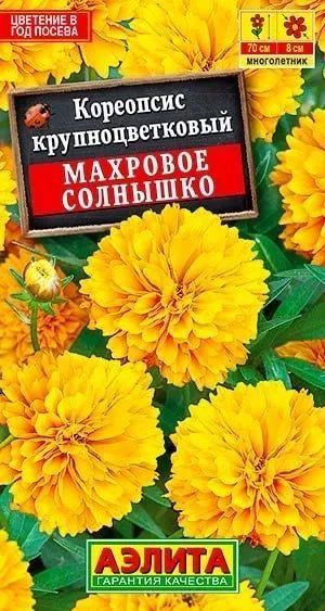 Семена Кореопсис Махровое солнышко (0,05 г) - Агрофирма Аэлита  #1