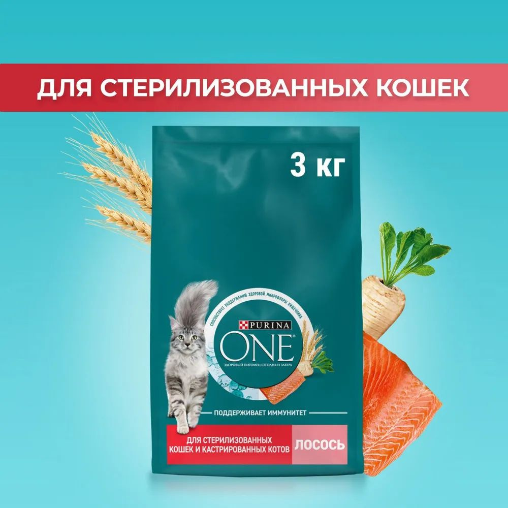 Сухой корм для кошек Purina ONE, с лососем, 3 кг - купить с доставкой ...