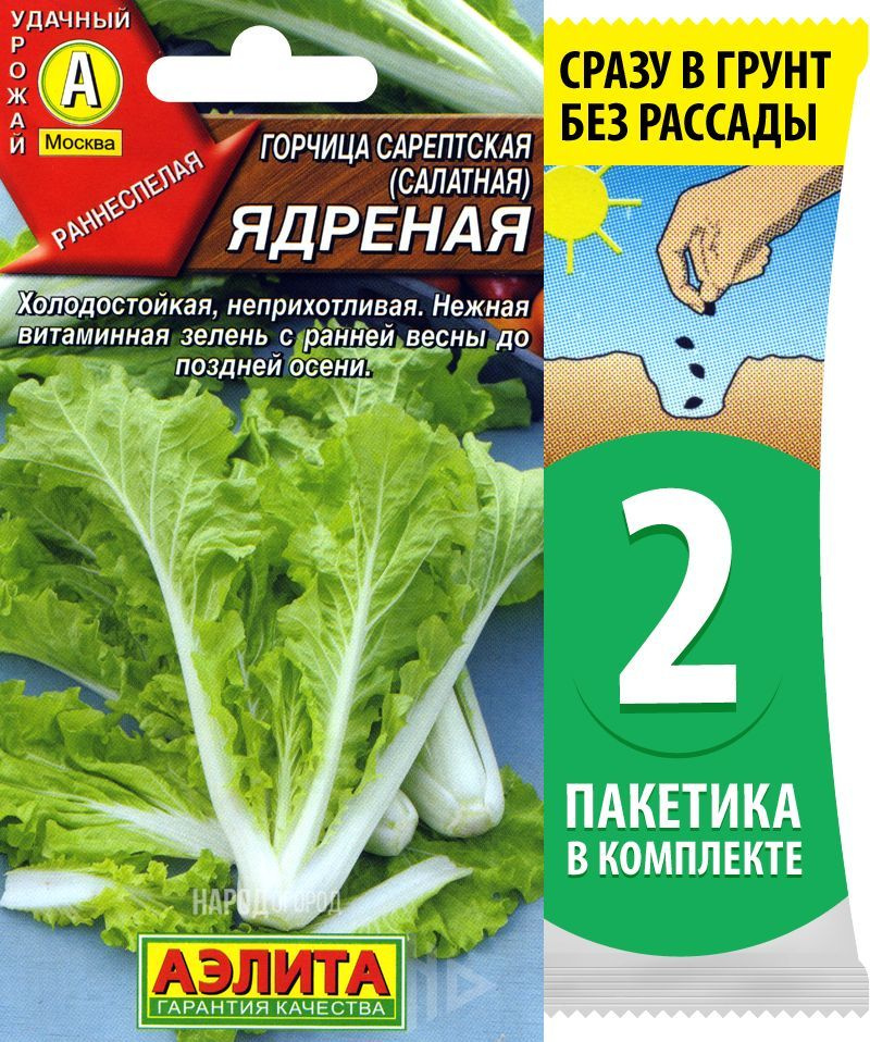 Семена Горчица сарептская (салатная) Ядреная, 2 пакетика по 0,5г/200шт в каждом  #1