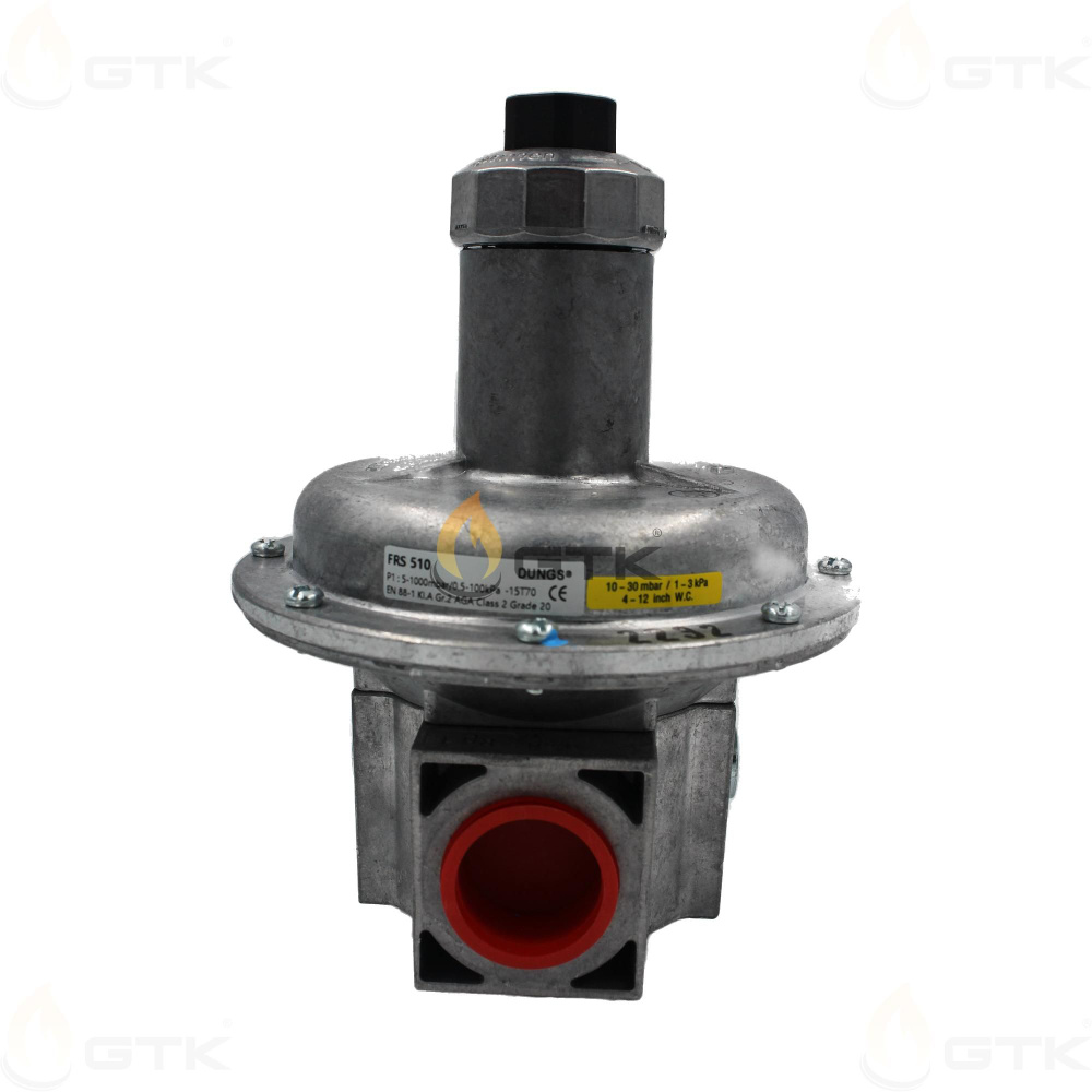 Dungs FRS 510, : 070409   OZON     (1660608142)