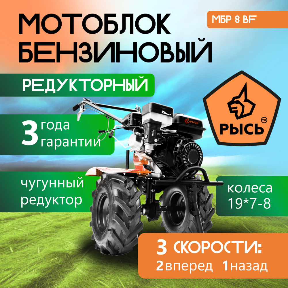 Мотоблок бензиновый редукторный РЫСЬ МБР 8 BF EXTREME, сельскохозяйственная  машина, 7 лс, 2 вперед 1 назад - купить мотоблок по выгодной цене в  интернет-магазине OZON (1561359136)