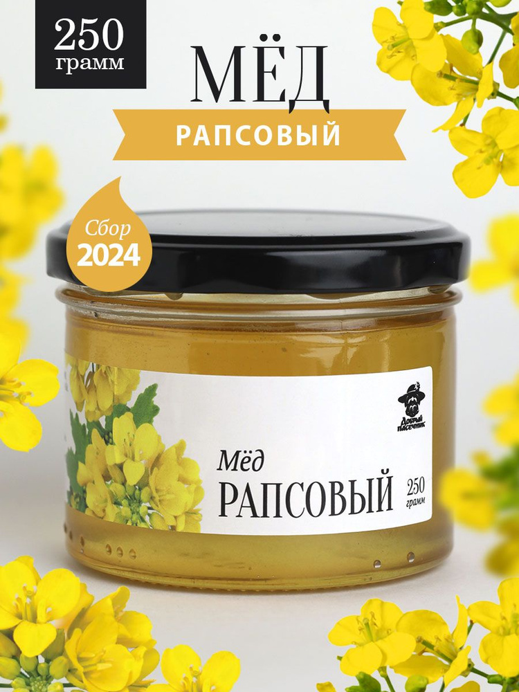 Рапсовый мед жидкий 250 г в стеклянной банке, для иммунитета, вкусный подарок  #1