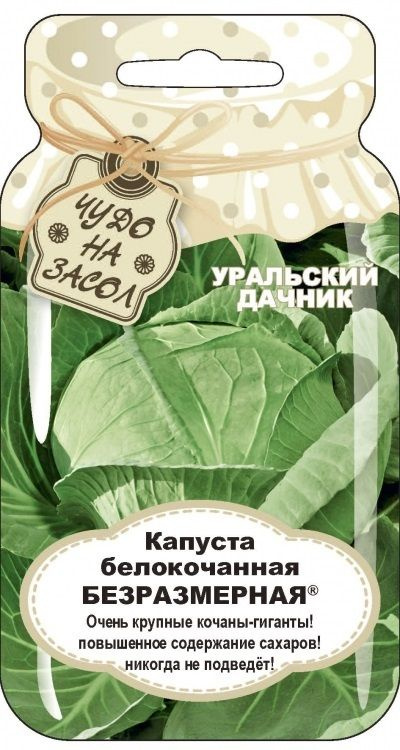 Капуста б/к Безразмерная 0,3гр сер.сер.ЧУДО НА ЗАСОЛ /добротный позднеспелый сорт  #1