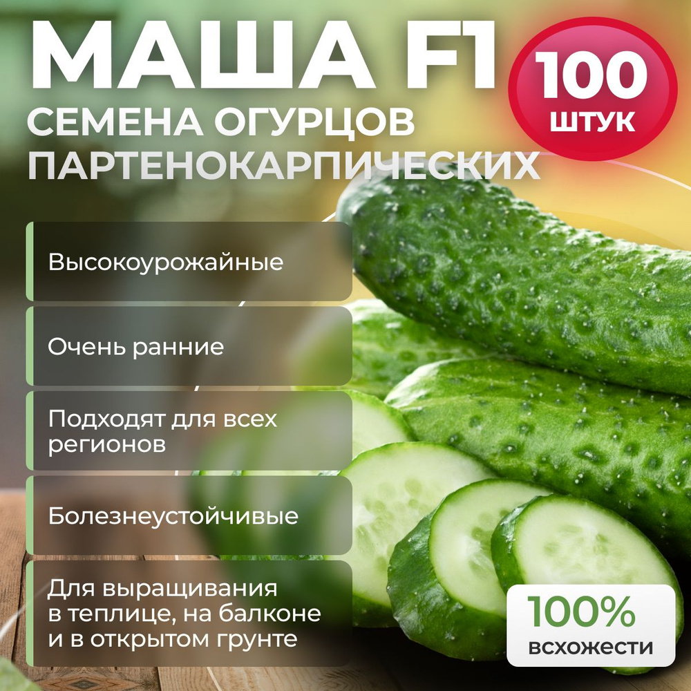 Семена огурцов Маша F1 от Seminis / ALEXAGRO 100 шт., гибрид для открытого грунта и теплиц  #1