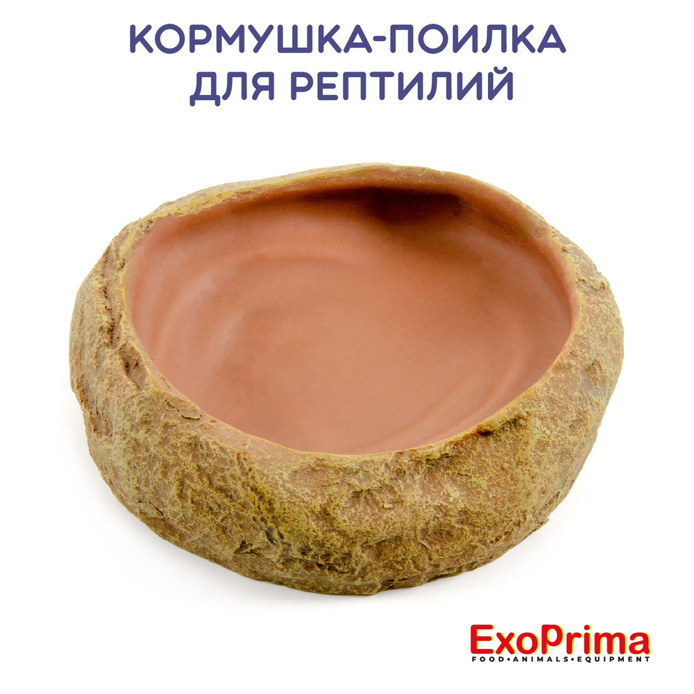 Кормушка - поилка для рептилий EXOPRIMA, 11,5х11х3см #1