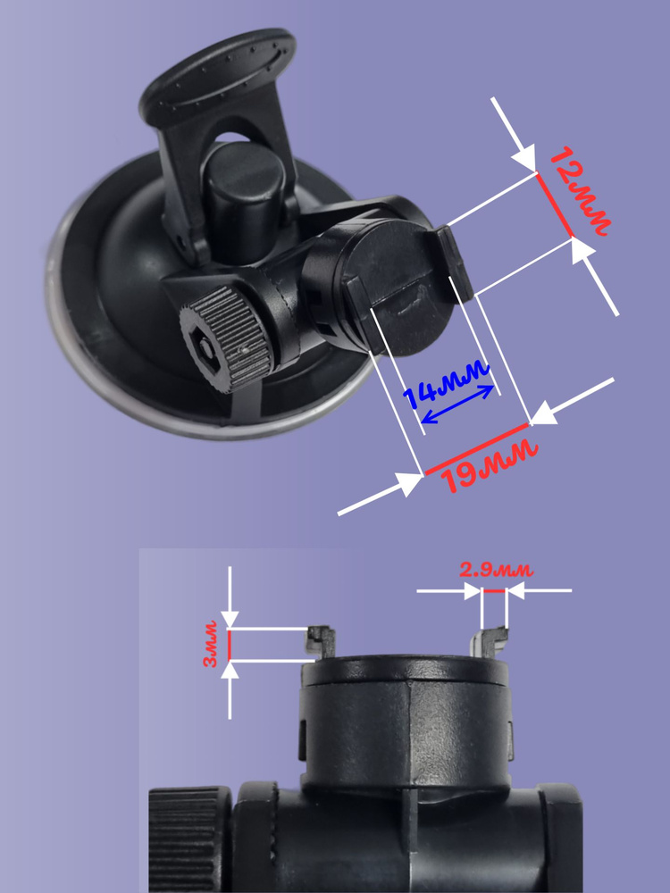 1000-арнадан порно фильмдерді қараңыз