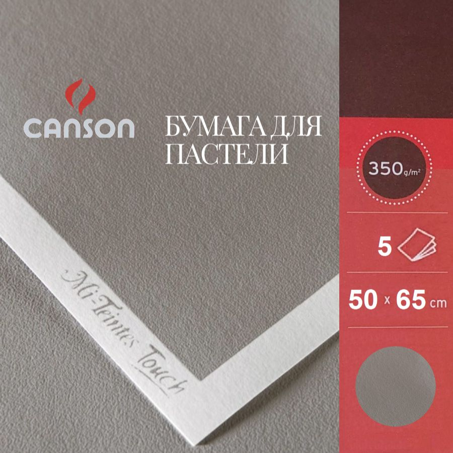 Бумага CANSON "Mi-Teintes Touch", 50х65, 335 гр, №431 Серый стальной, 5 листов  #1