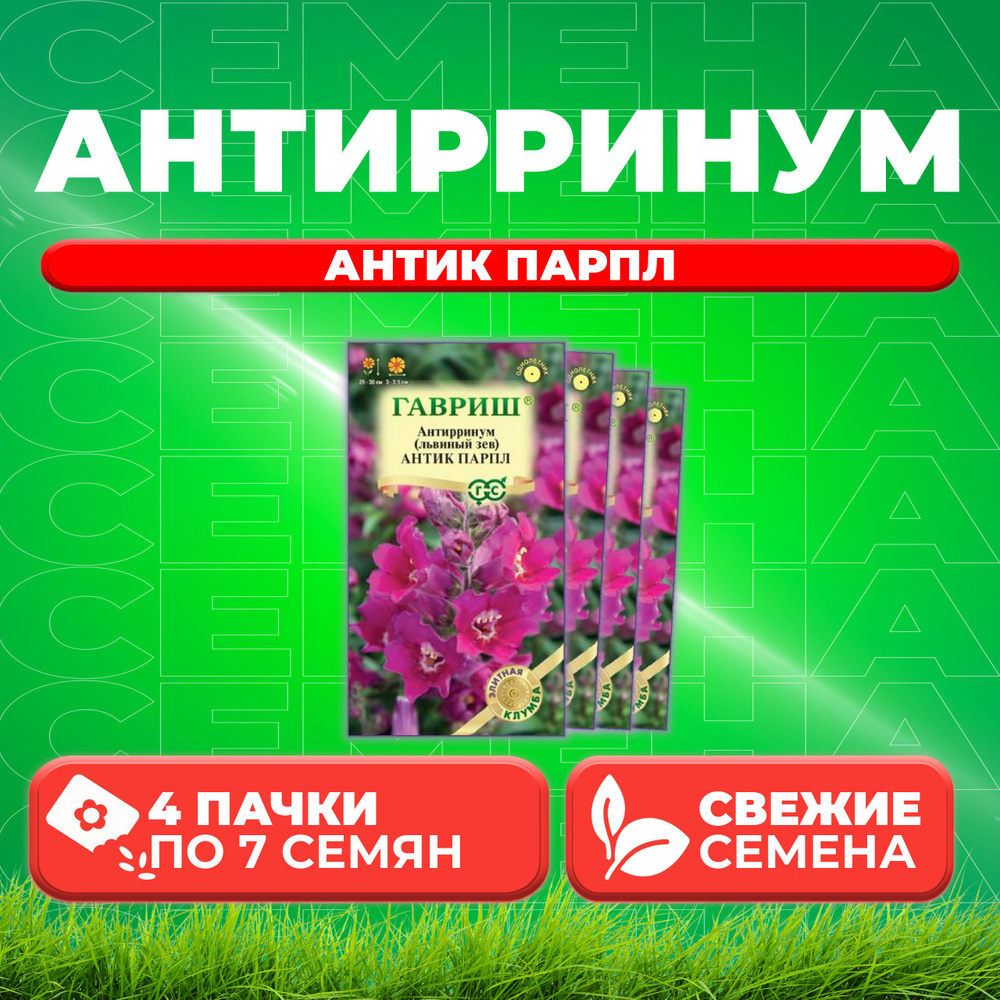 Антирринум (Львиный зев) Антик Парпл, 7шт, Гавриш, Элитная клумба (4 уп)  #1