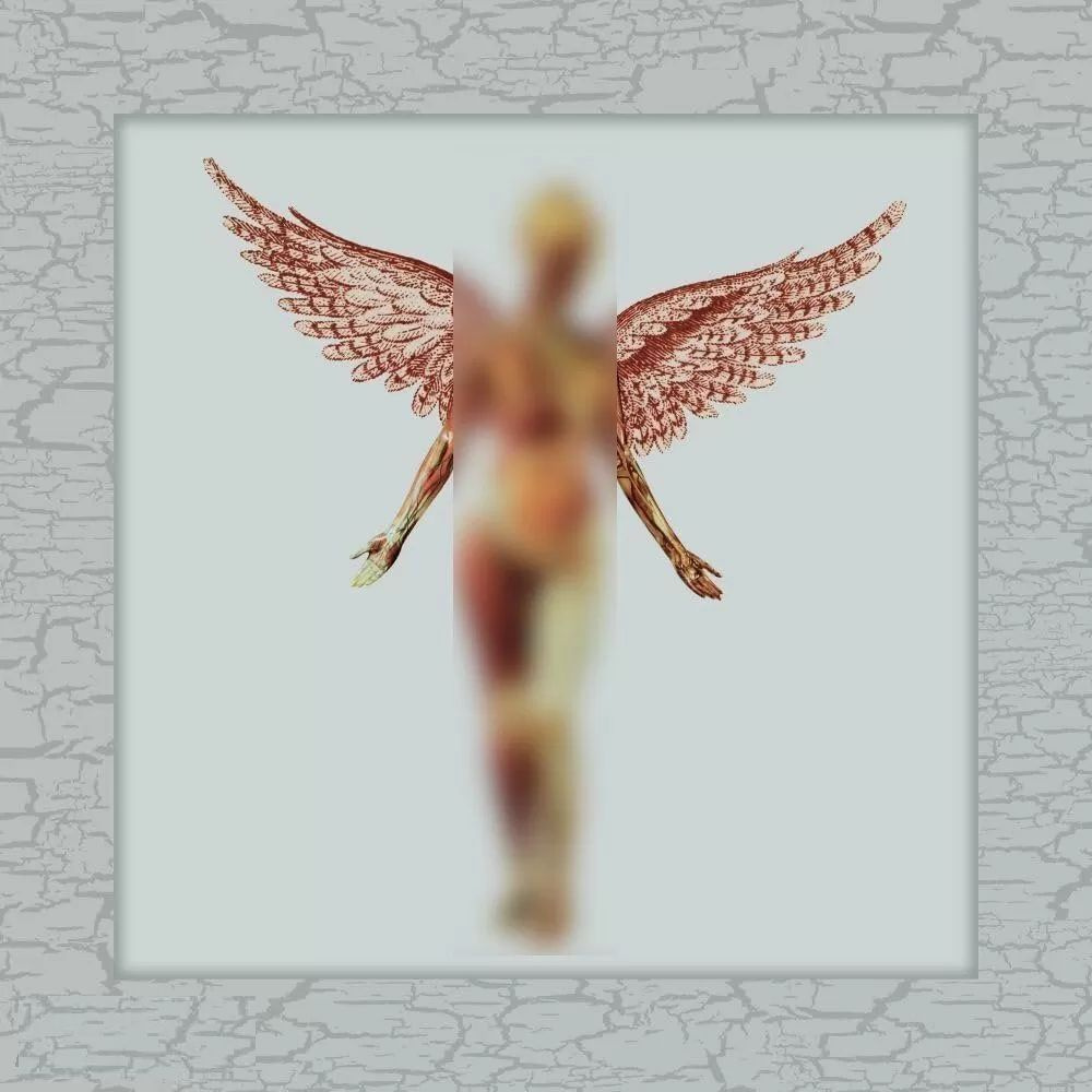 Виниловая пластинка Nirvana - In Utero (30th Anniversary Box Set) #1