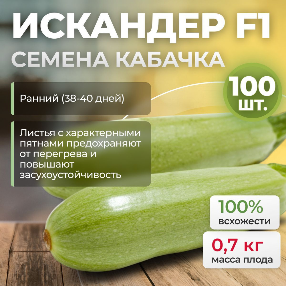 Искандер F1 семена кабачка очень ранние (Seminis / ALEXAGRO) (100 шт.) для открытого грунта и теплиц #1