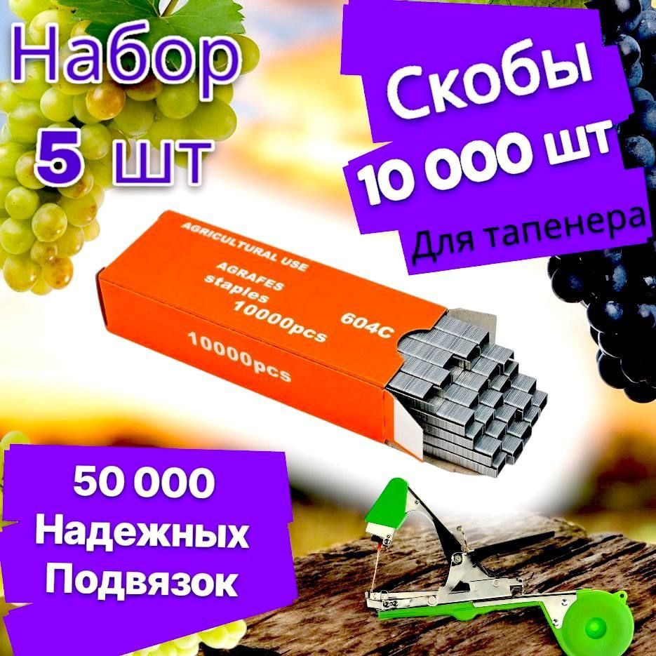 Скобы для тапенера,50шт #1