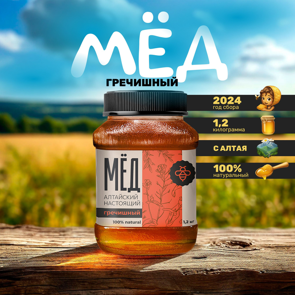 Мед Алтайский гречишный 1,2 кг купить на OZON по низкой цене (1746558246)