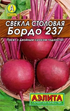 Семена Свекла столовая Бордо 237 #1