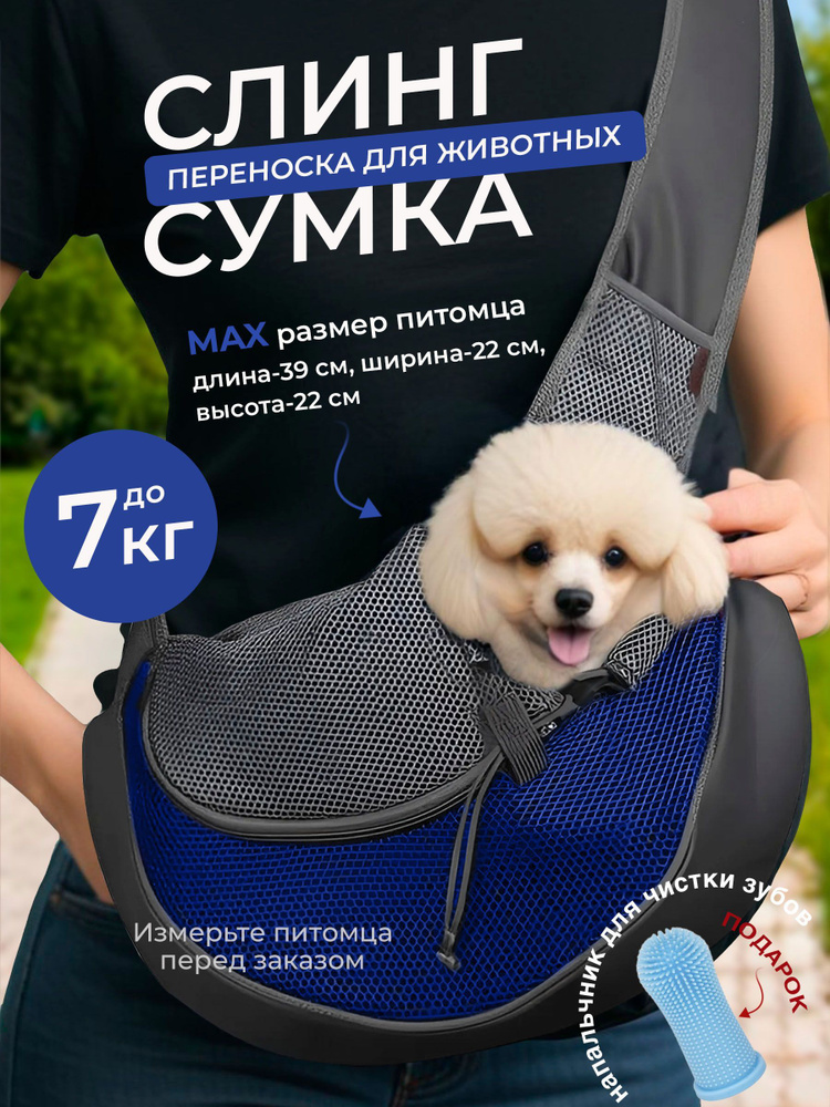 Переноска #1
