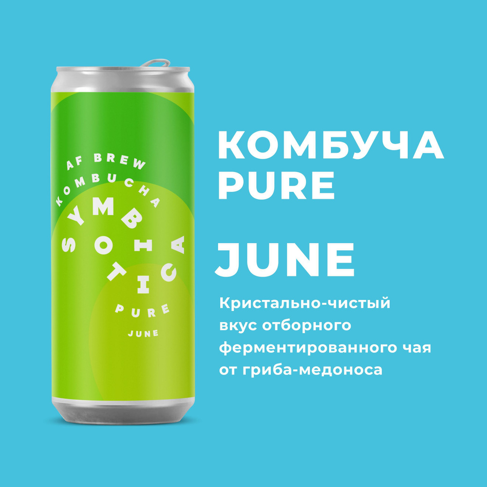 Комбуча АФ Брю / AF Brew Kombucha. June #1