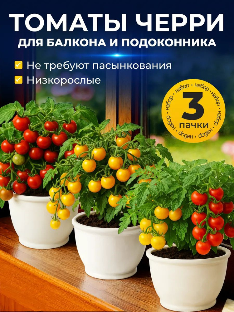 Семена томатов черри для подоконника 3 пачки #1