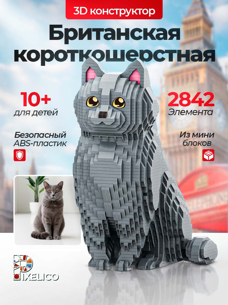 3D конструктор из мини блоков "Британская кошка" #1