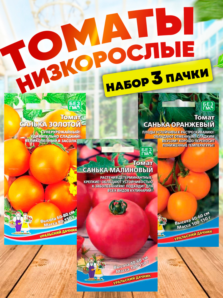 Семена Томат Санька #1