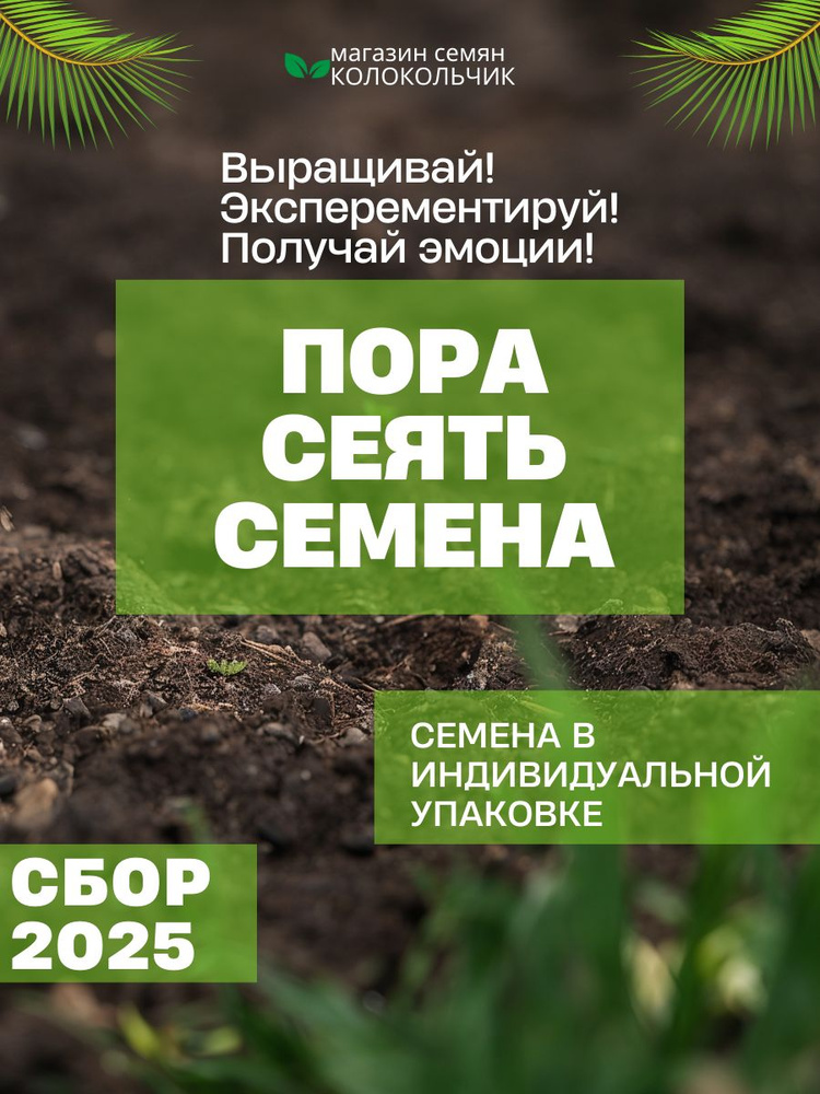 Семена Цинния Мастер, смесь сортов 20 штук #1