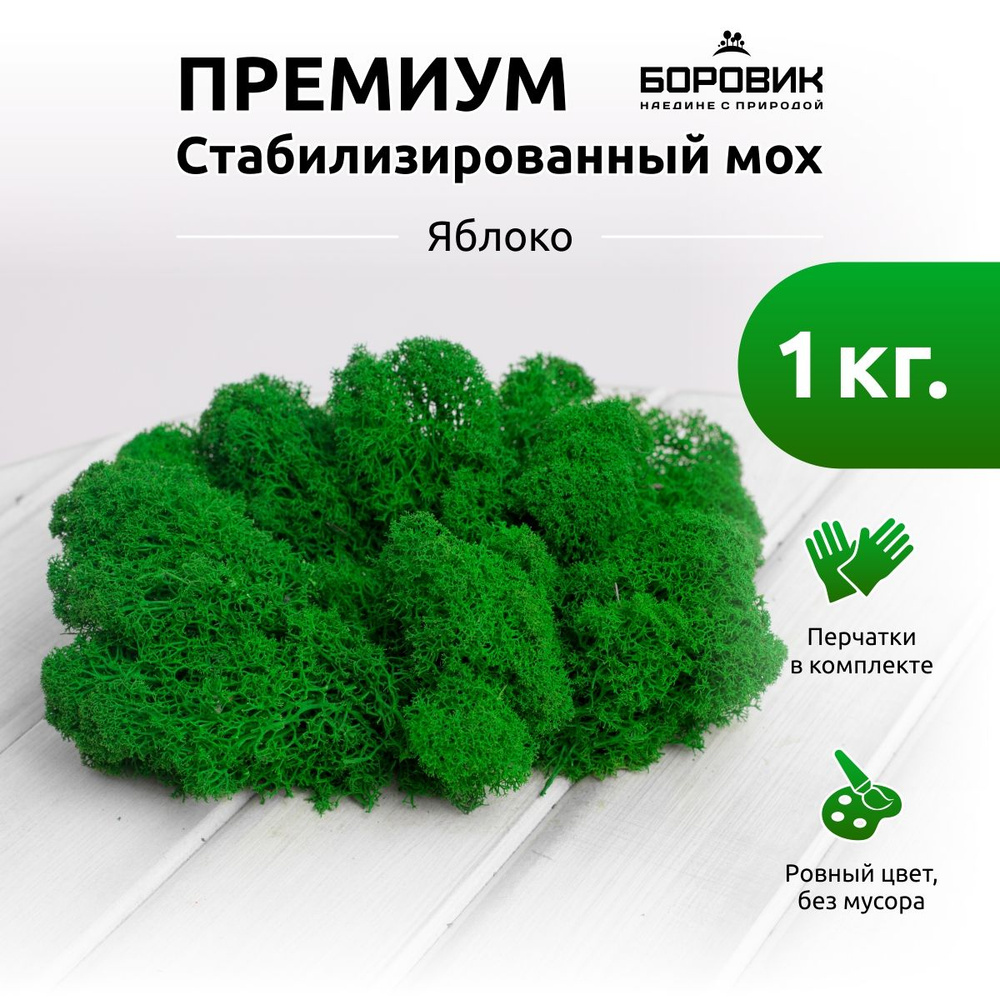 ПРЕМИУМ Стабилизированный мох Яблоко, 1000 гр. #1