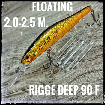 Воблер ZIPBAITS RIGGE 90 F