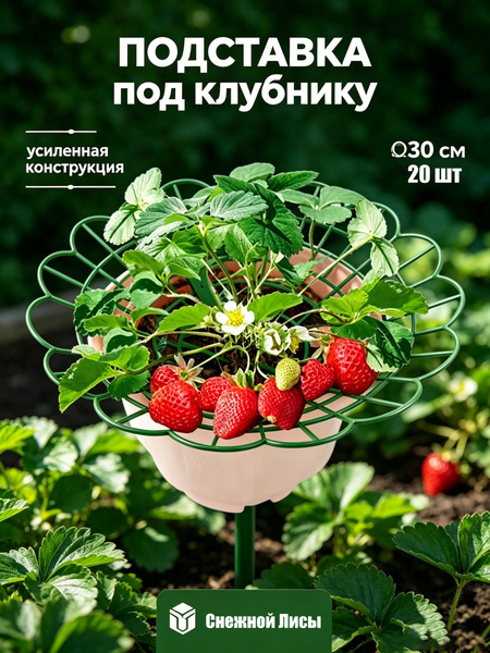 21 Hrs Gmt To Ist