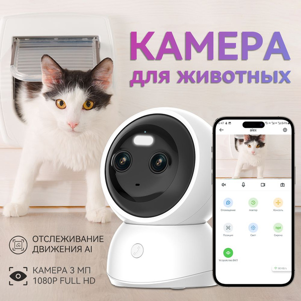 Rus yotoqxonasida porno tomosha qiling