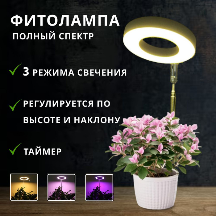 7151070233 7151070233