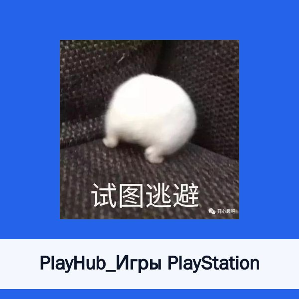 PlayHub_Игры PlayStation и Steam