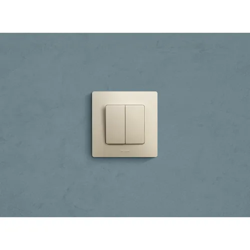 ETIKA Выключатель 2-клавишный схема 5 10АХ безвинтовые зажимы слоновая кость, IEK 672302