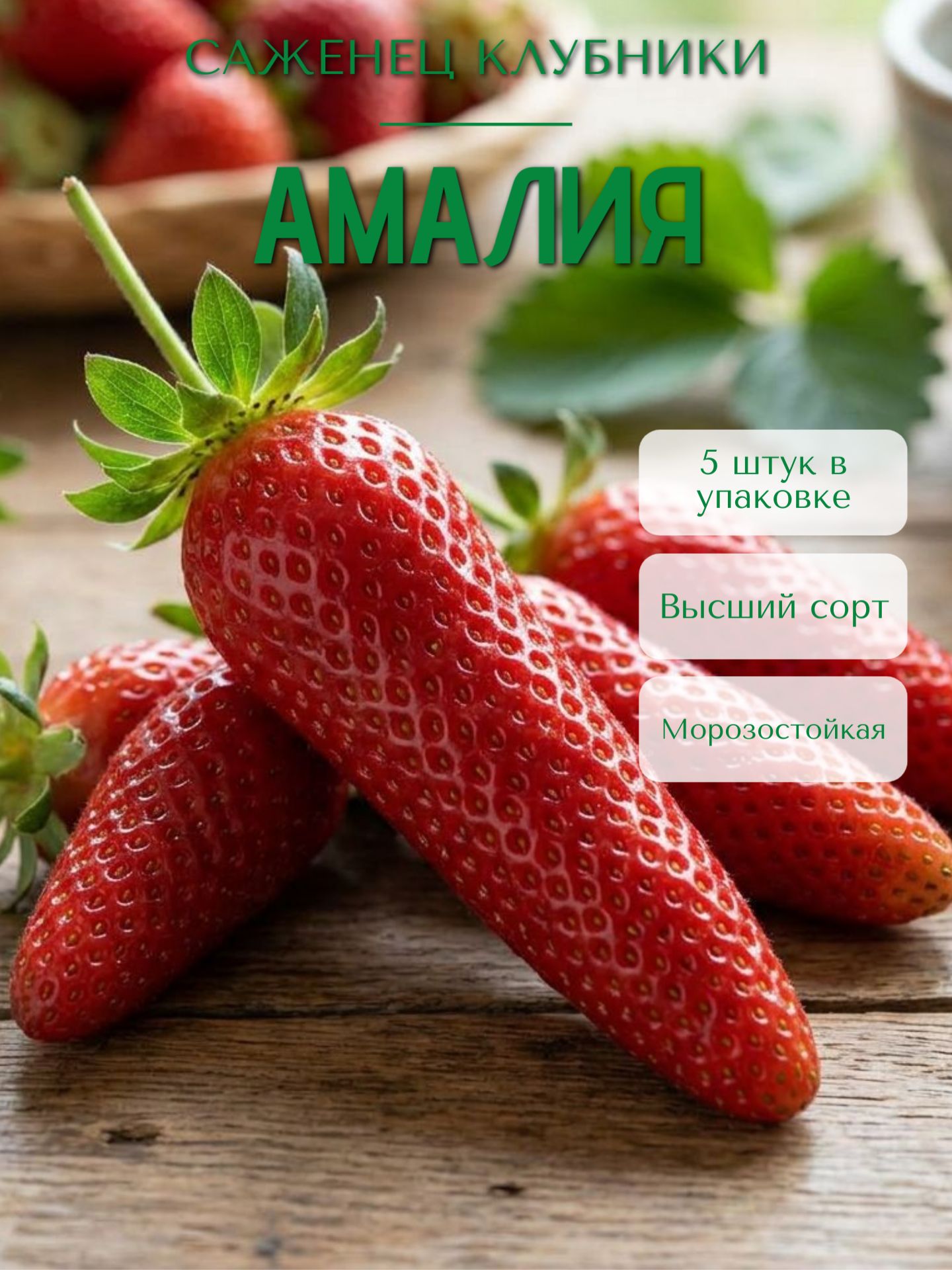 СаженецКлубникиАмалия5шт.