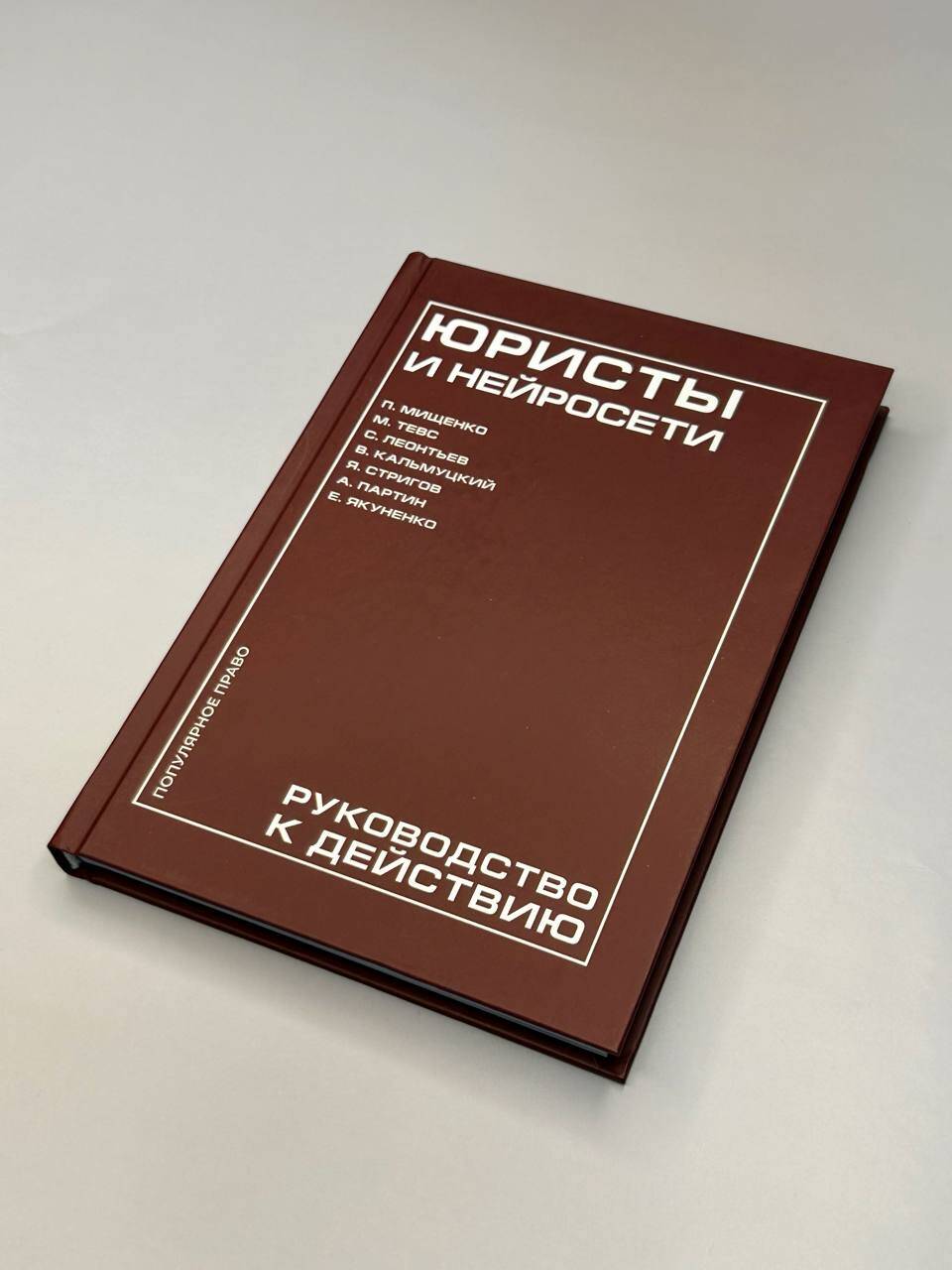 Юристы и нейросети. Руководство к действию | Lawyers and Neural Networks: A Practical Guide - Ozon image 5