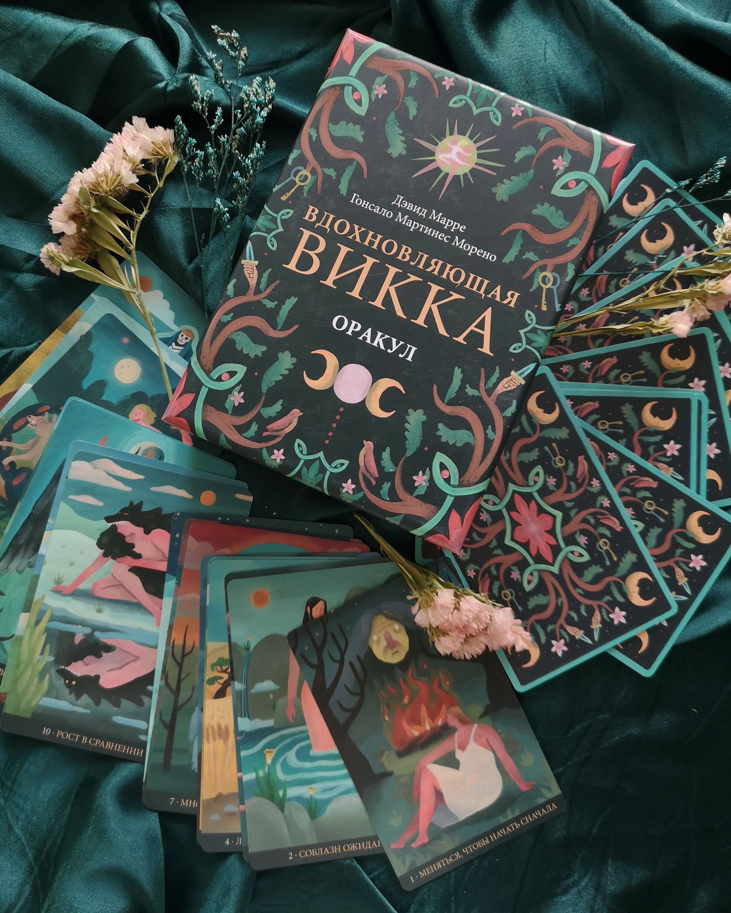 Mushuk ustidagi sikning surati