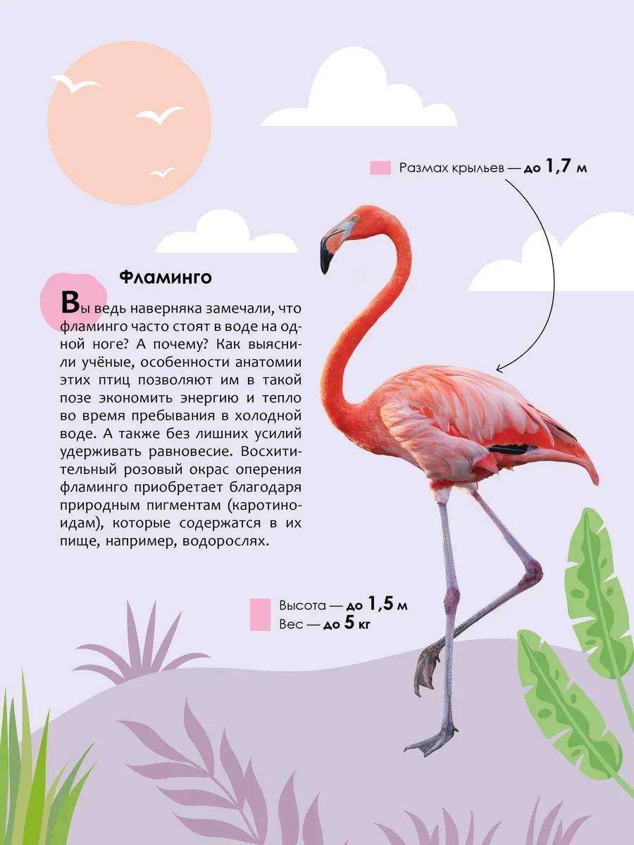 Энциклопедия для школьника 7+. Познавательная, развивающая книга для детей. Подарок ребенку | Encyclopedia for 7+ Schoolchildren. Educational Book About Animals - Ozon image 6
