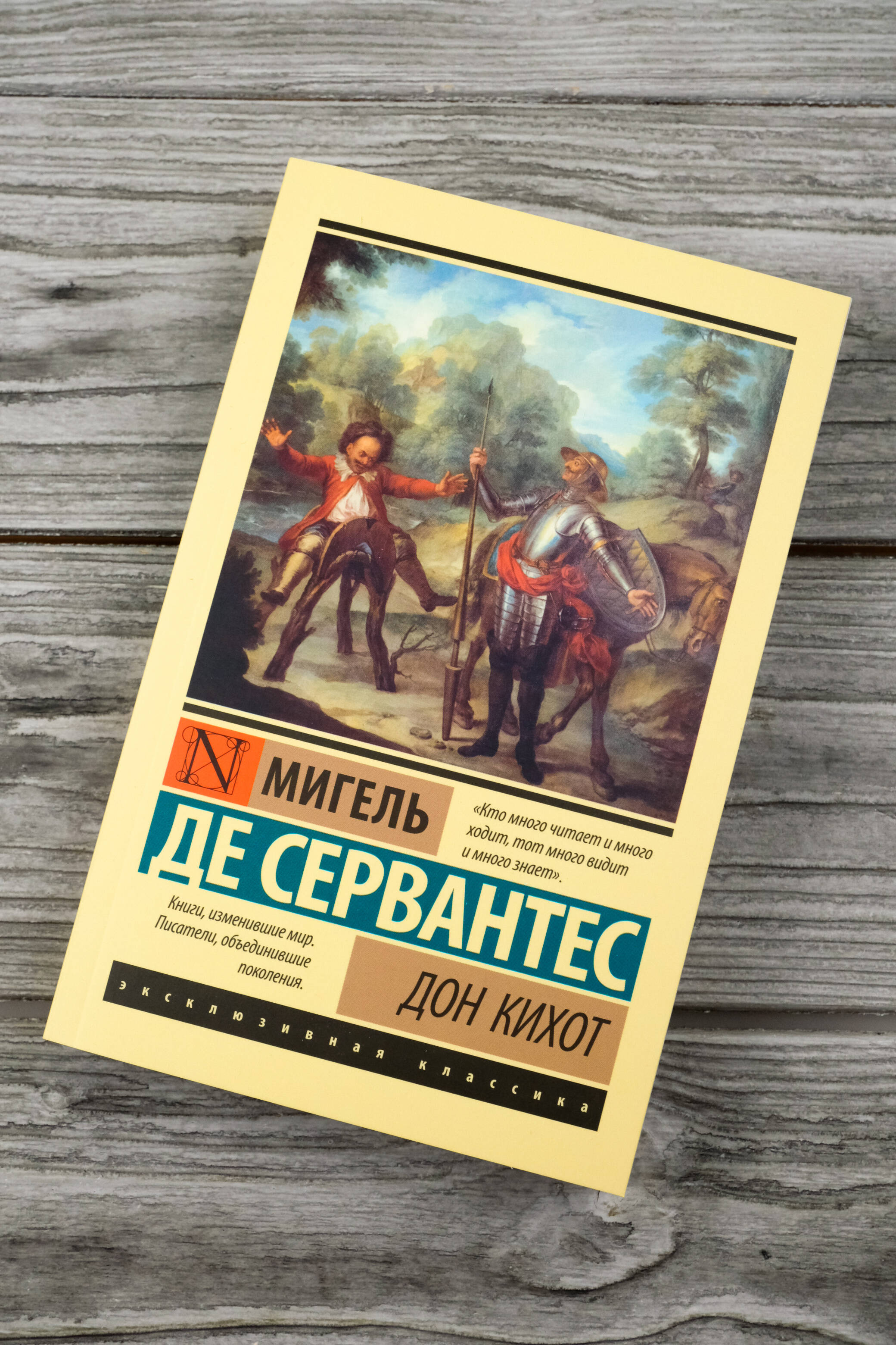 Дон Кихот | Don Quixote - Ozon image 4