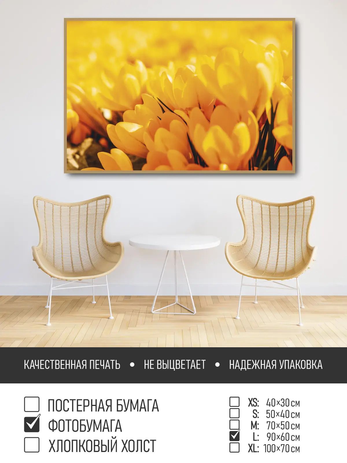 Постер ПолиЦентр Цветы, растения, Природа Желтые крокусы ранней весной ...