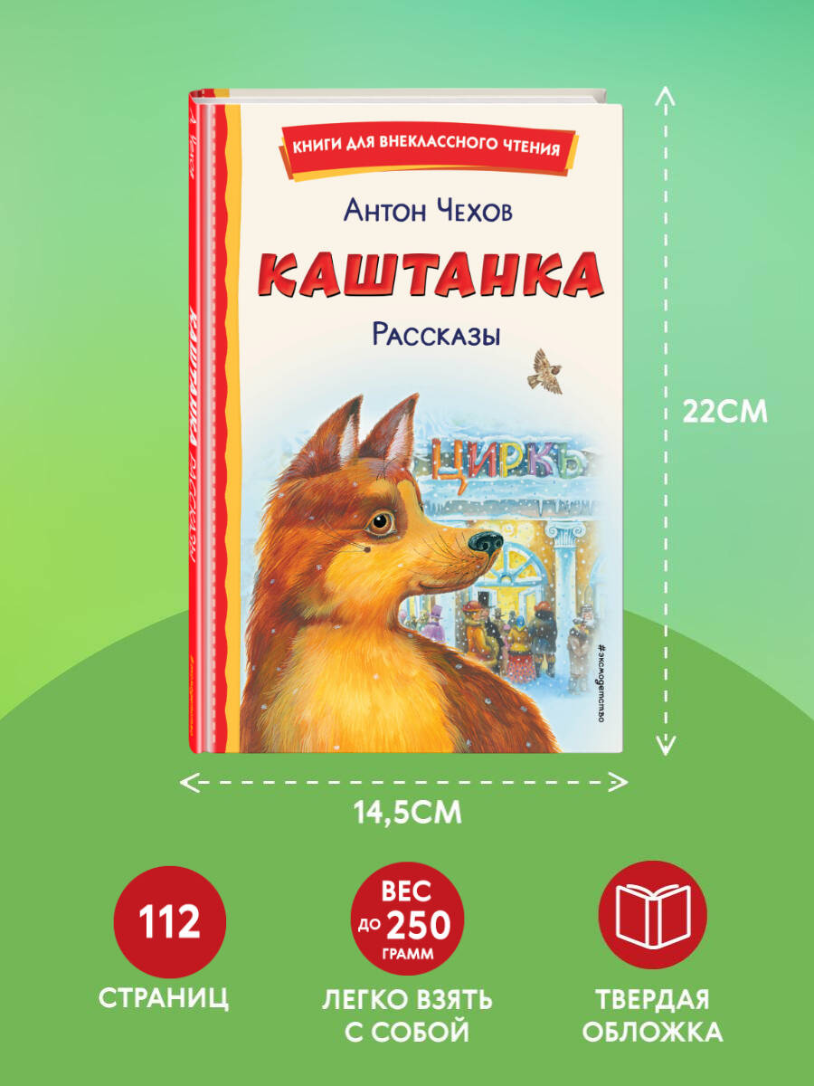 Каштанка. Мальчики и другие рассказы. Внеклассное чтение | Russian-Language Book - Ozon image 3