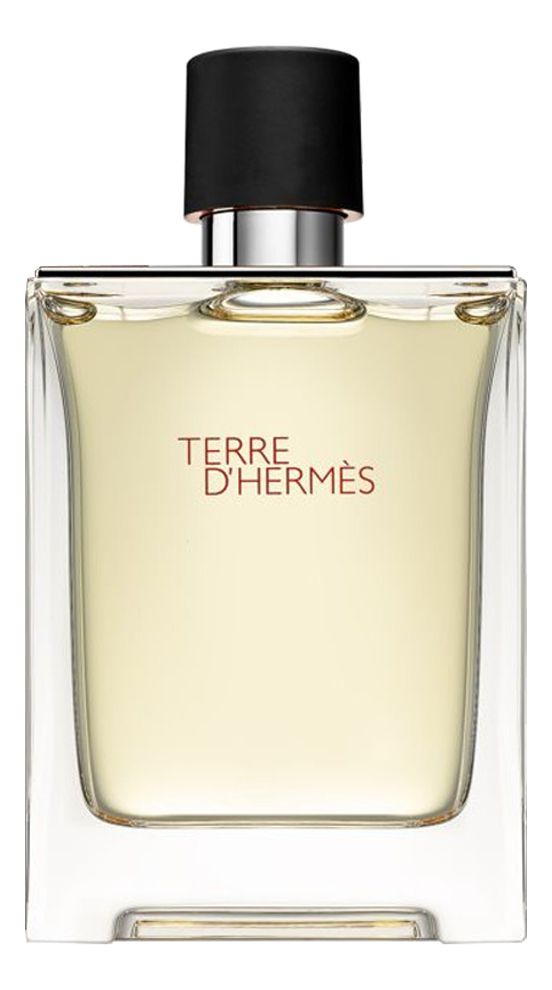 HERMES TERRE D'HERMES Мужская туалетная вода 200 EDT купить