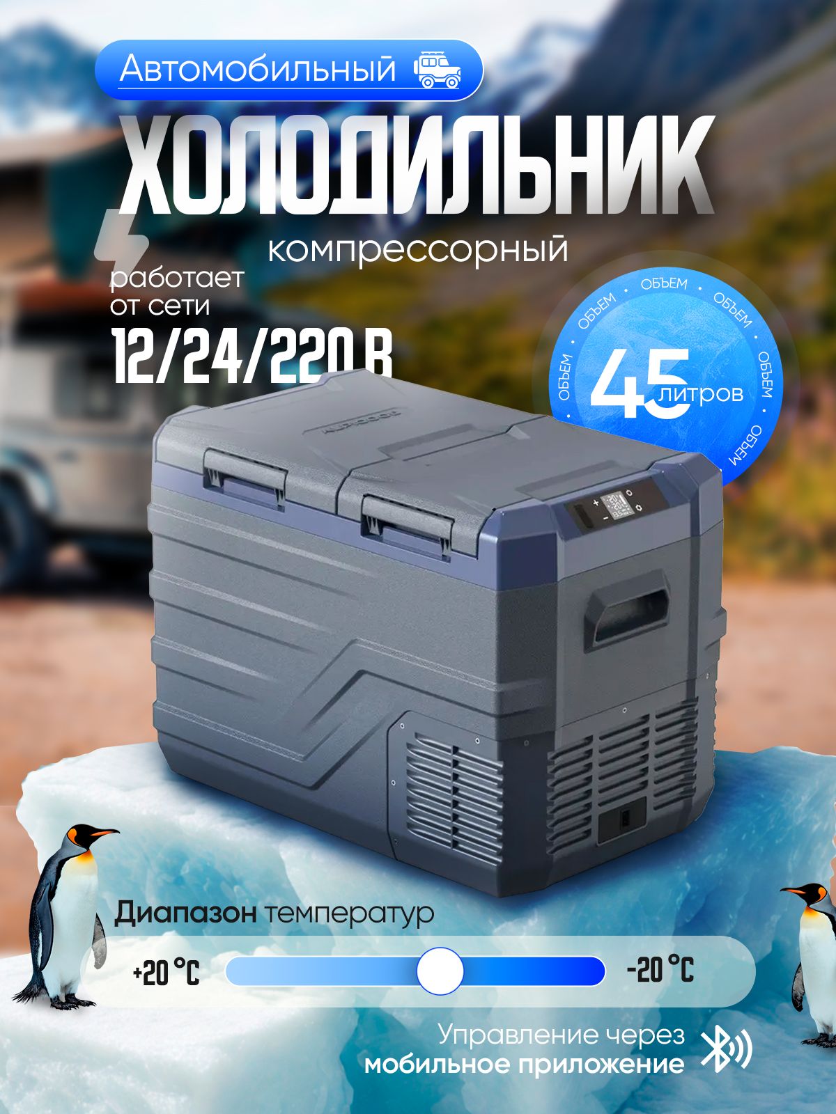 7705684002.jpg
