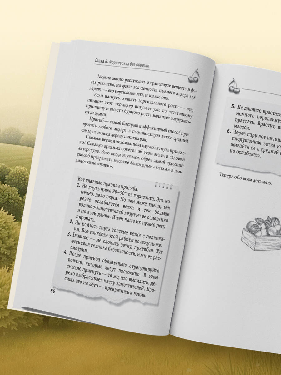 Обрезка и формировка деревьев и кустарников | Pruning and Shaping Trees and Shrubs - Ozon image 7