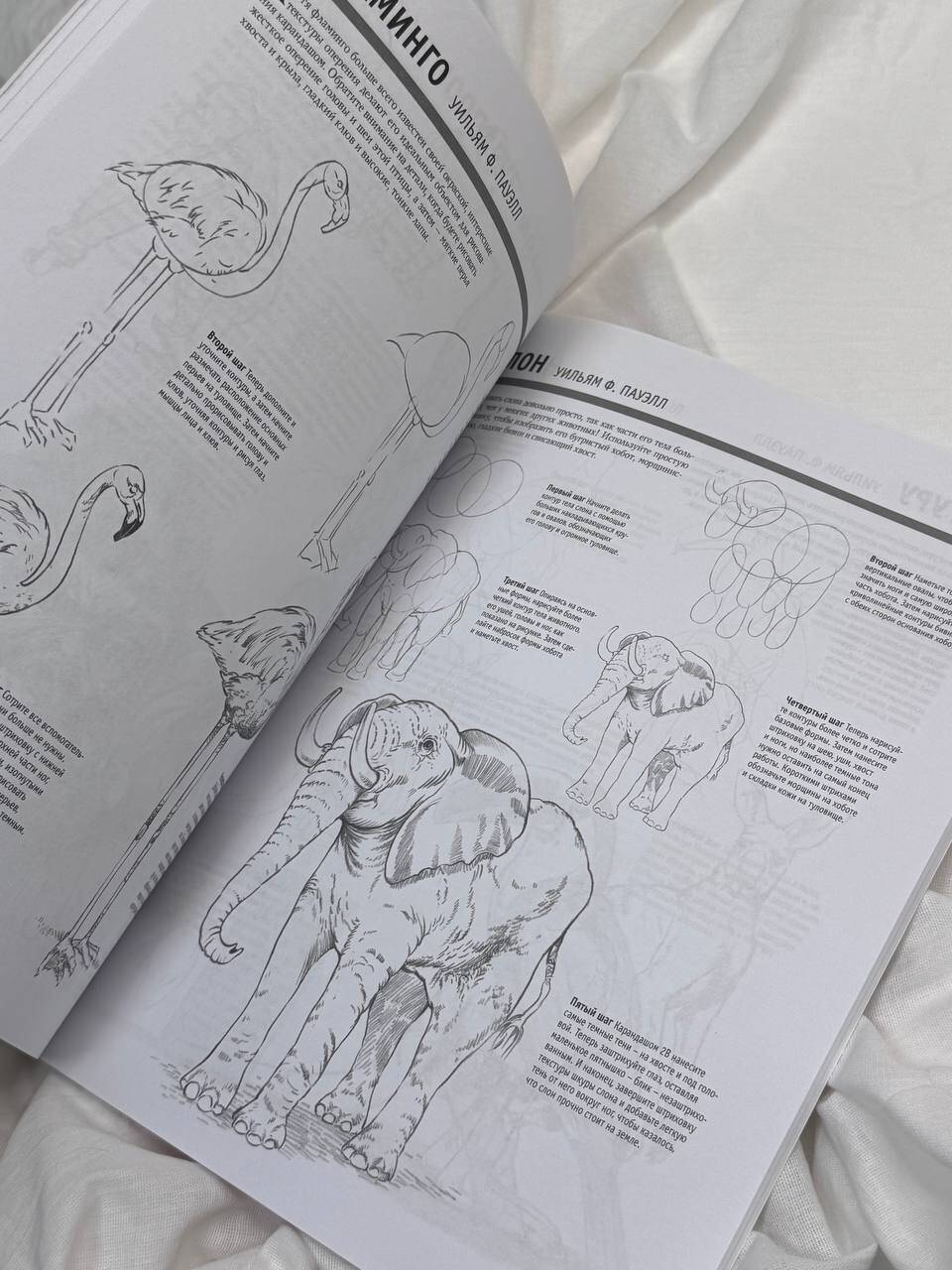Основы рисования | Drawing Fundamentals - Ozon image 6