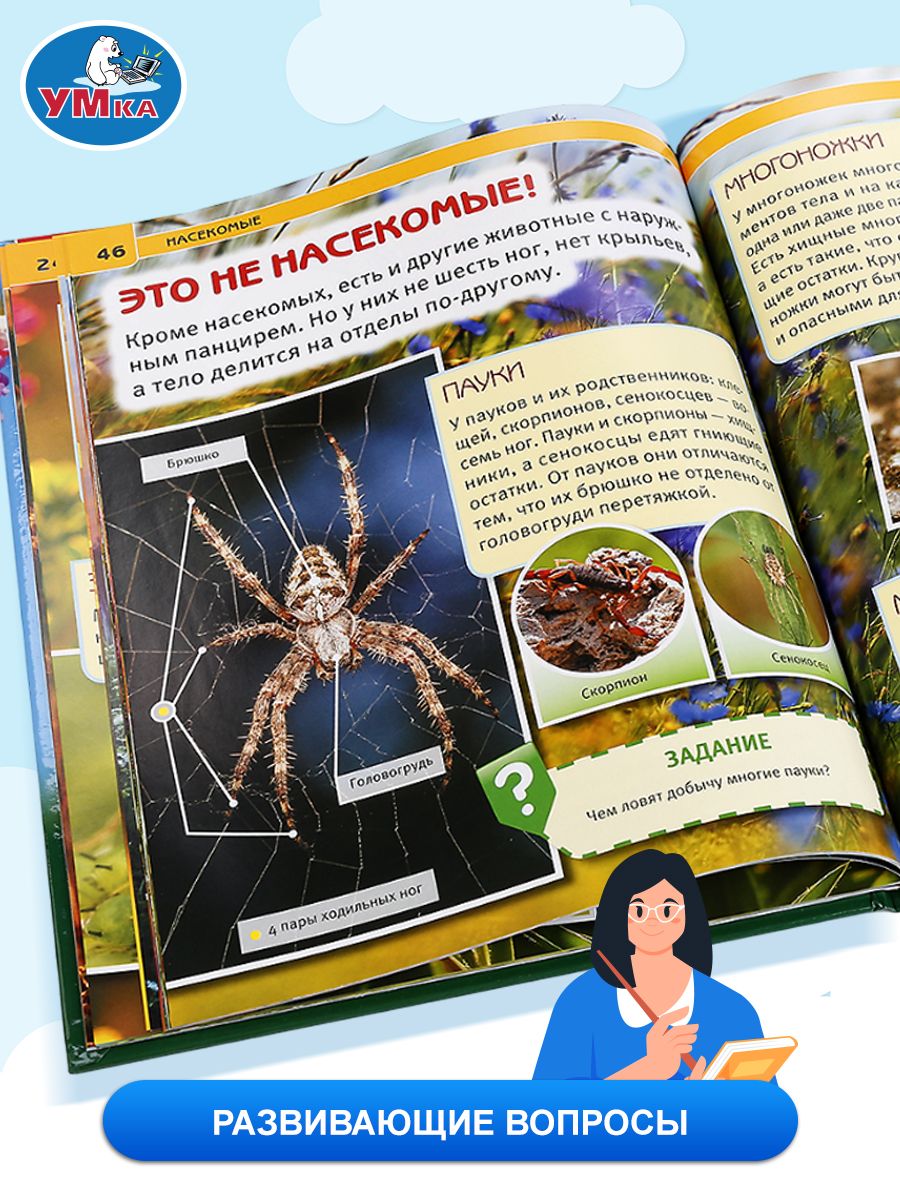 Насекомые | Insects - Ozon image 2