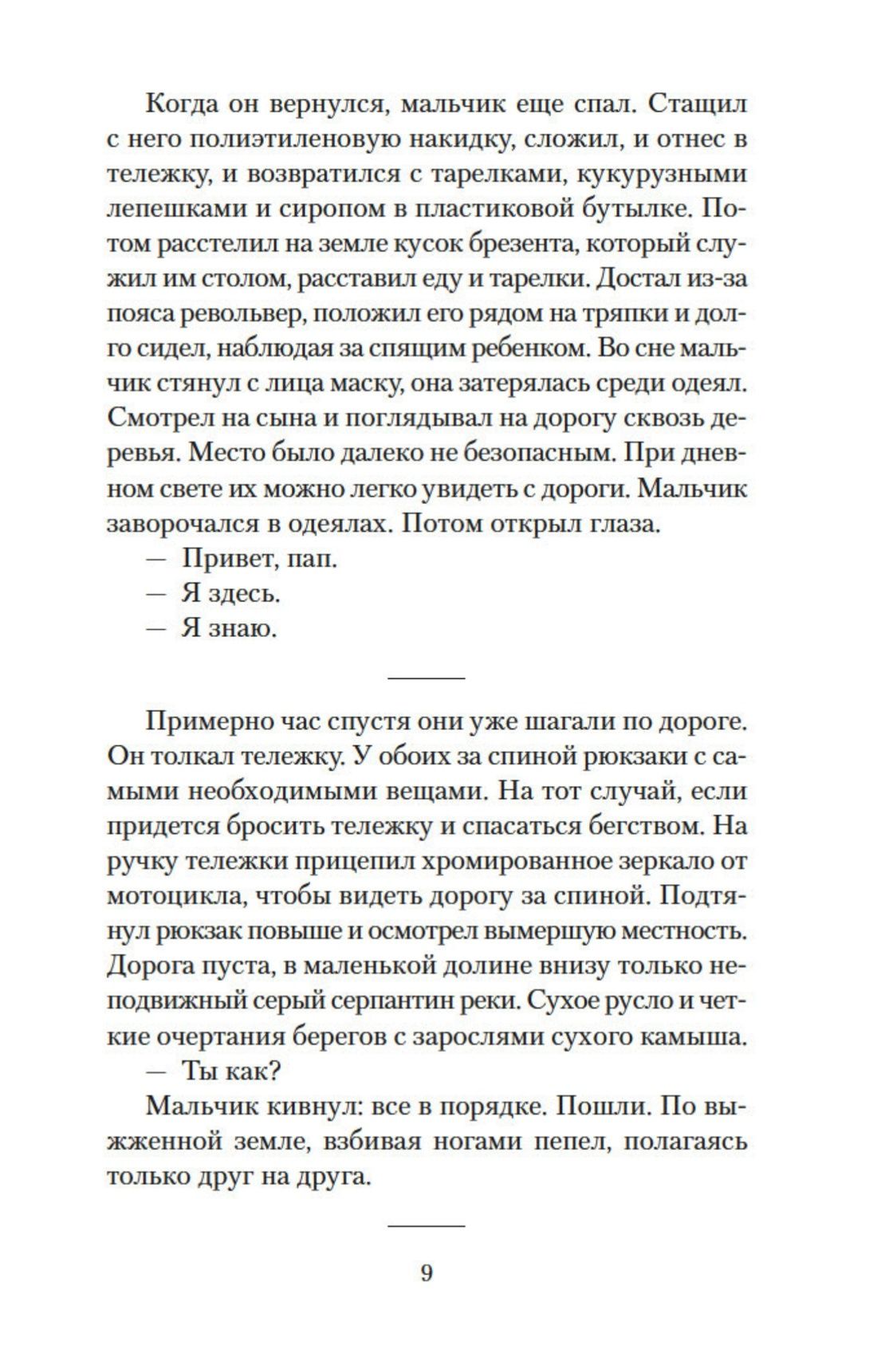 Дорога | The Road - Ozon image 7