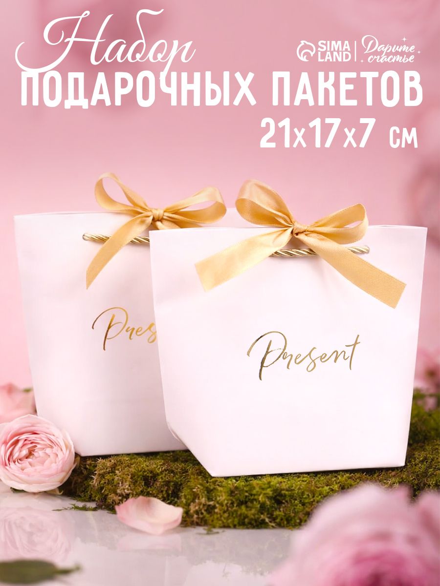 Пакеты подарочные, набор 2 шт, 21 х 17 х 7 см