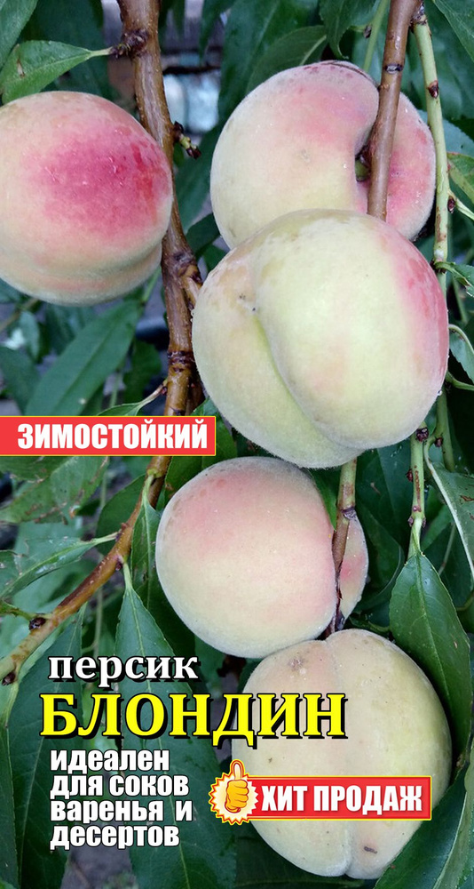 Семена ,3шт #1